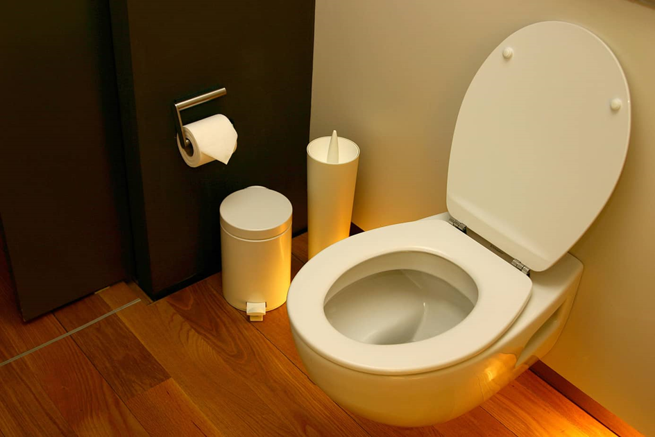 هر آنچه باید پیش از خرید توالت فرنگی بدانید